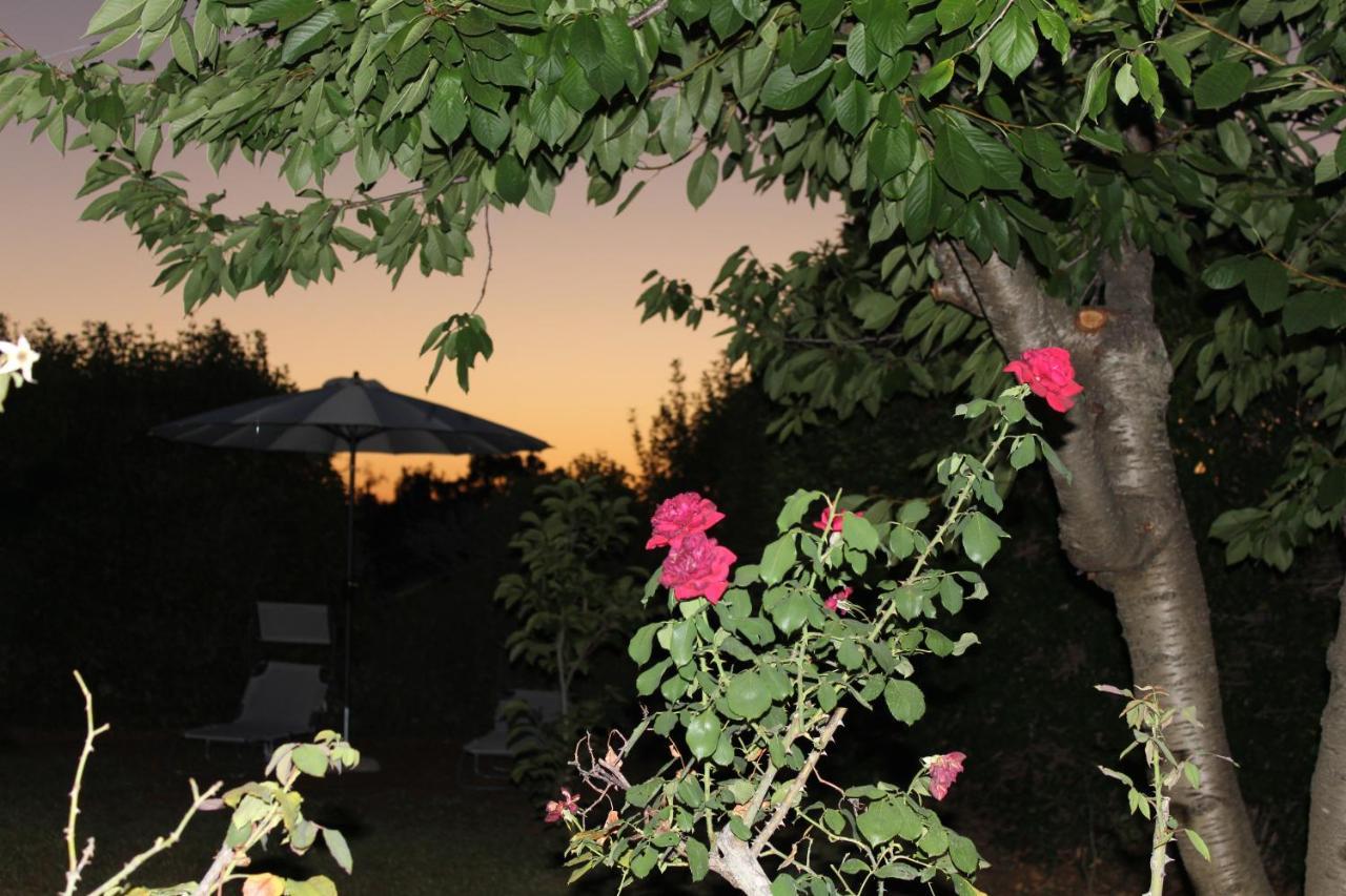 Trullo Sette Tindenule Villa Cisternino Exterior photo